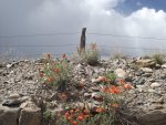 RoubedouxCanyon5-10-2013 011.jpg